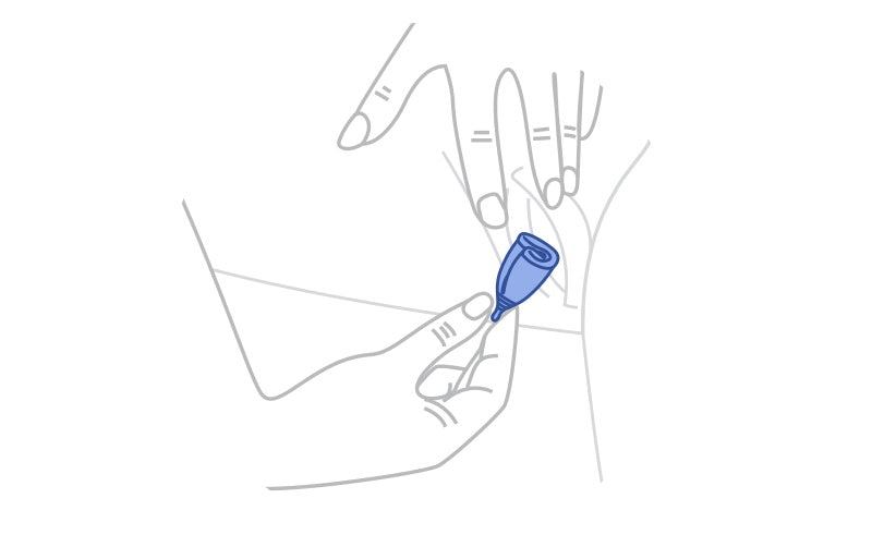 4. Introducir