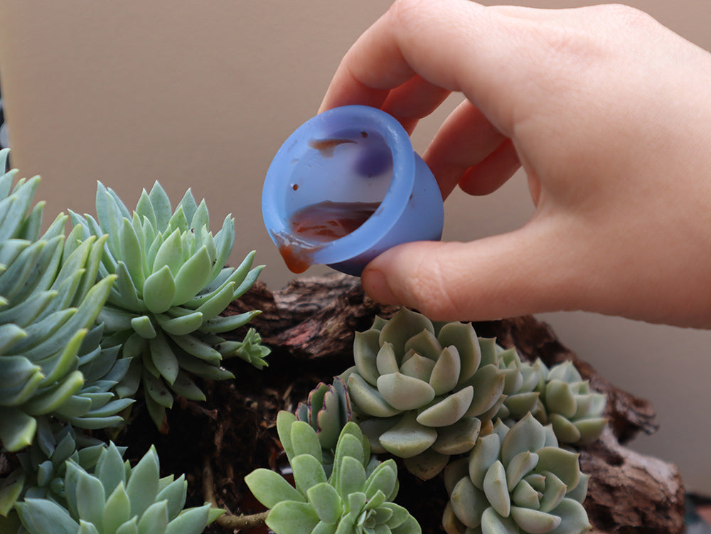 Ciclo menstrual: la Luna, el poder cíclico de la naturaleza y la menstruación