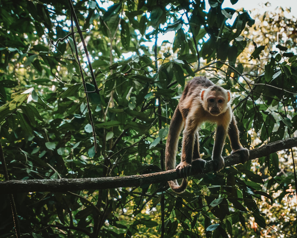 Ciclos conscientes para el cuidado del medioambiente