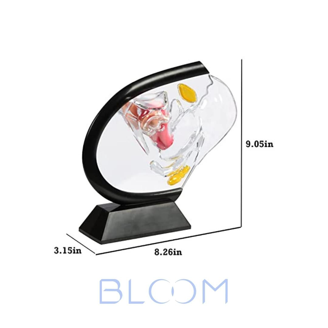 Medidas modelo anatómico sistema reproductor femenino, BLOOM, accesorios BLOOM