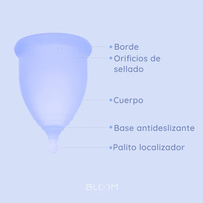 Partes de la copa menstrual BLOOM corta, azul, copa menstrual