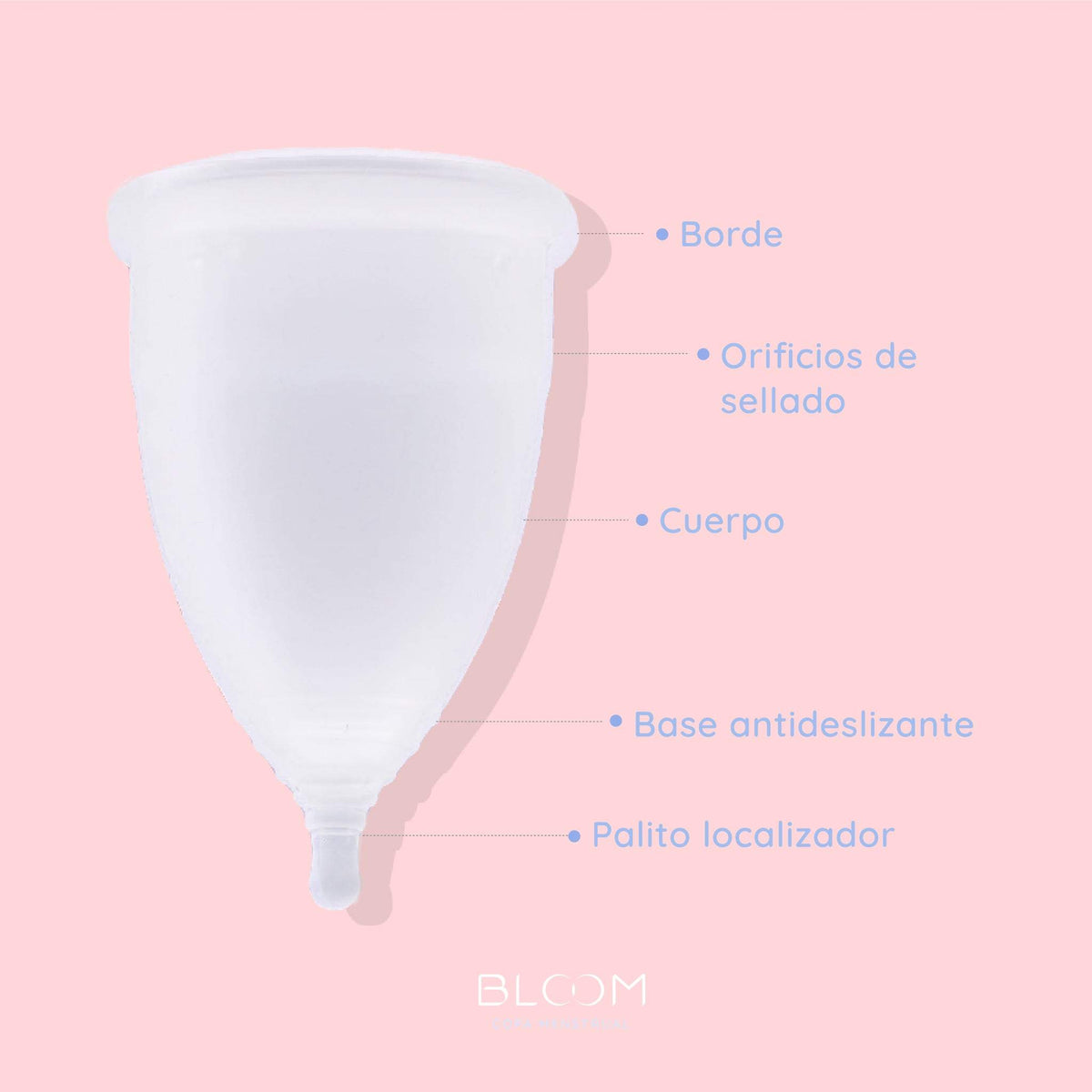 Partes de la copa menstrual BLOOM grande, BLOOM
